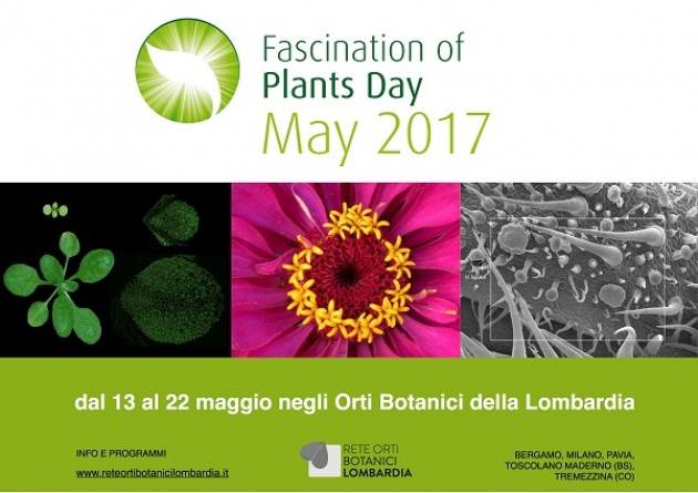 Milano  Rete degli Orti botanici Lombardia celebra il Fascination of Plant Day: fino al 22 maggio