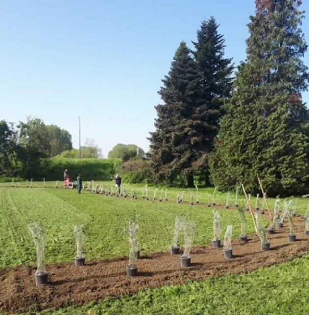 Andrea Virgilio soddisfatto per la realizzazione del ‘Giardino delle Farfalle’ a Cremona