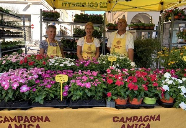 Coldiretti Campagna Amica, tornano i fiori domani al Mercato di Cremona