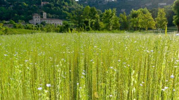 A progetto biodiversità Bergamo Premio nazionale Paesaggio