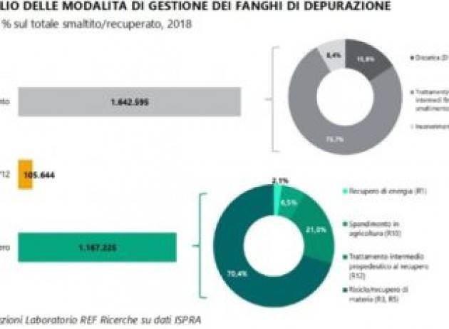 Fanghi di depurazione