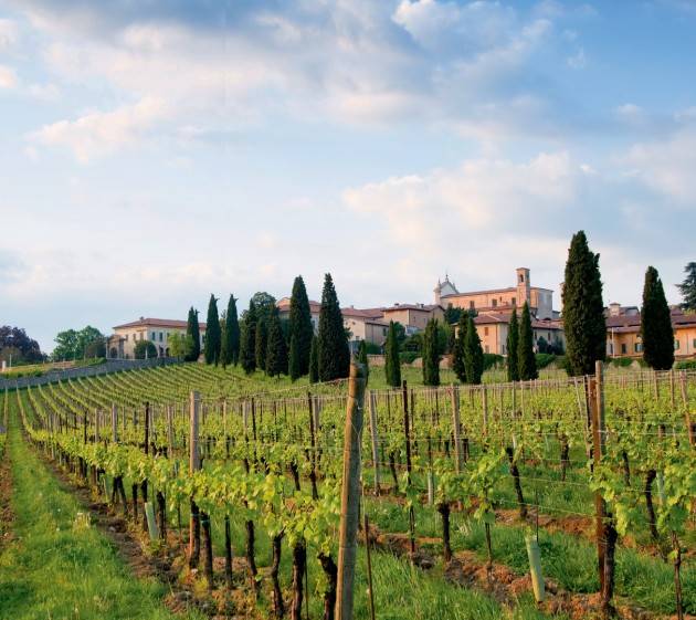 Alla scoperta dei vini della provincia di Brescia