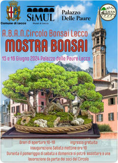 Mostra Bonsai a Lecco, sabato l'inaugurazione