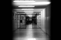 Carceri, #Pd: governo inerte, intervenire su sovraffollamento e misure alternative