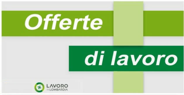 Attive 214 offerte lavoro CPI 15/10/2024 Cremona,Crema,Soresina e Casal.ggiore 