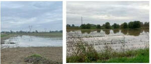  Coldiretti  Maltempo, Lombardia: agricoltura paralizzata, semine d'autunno bloccate