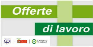 Attive 272 offerte lavoro CPI 12/11/2024 Cremona,Crema,Soresina e Casal.ggiore 