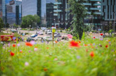 Milano BAM - Biblioteca degli Alberi, progetto insieme per la biodiversità